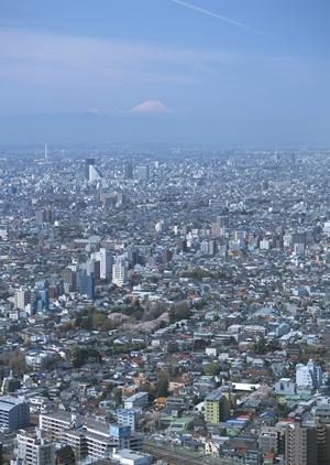 イメージを掴みやすい赤外線外壁調査