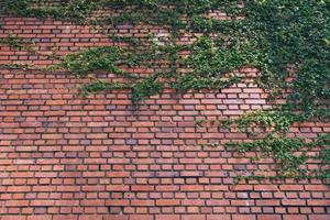 富山の不動産売却成功ガイド2025：最適な戦略と確かなサポート【最新版】