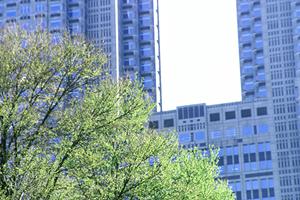 【完全ガイド】七飯町で不動産売却を成功させるためのポイントと最新市場動向